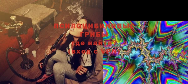 PSILOCYBIN Армянск