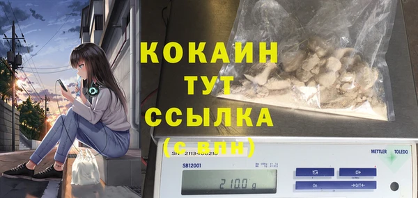 PSILOCYBIN Армянск