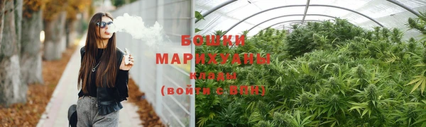 PSILOCYBIN Армянск
