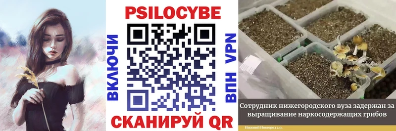 наркошоп omg зеркало Псилоцибиновые грибы мухоморы Астрахань